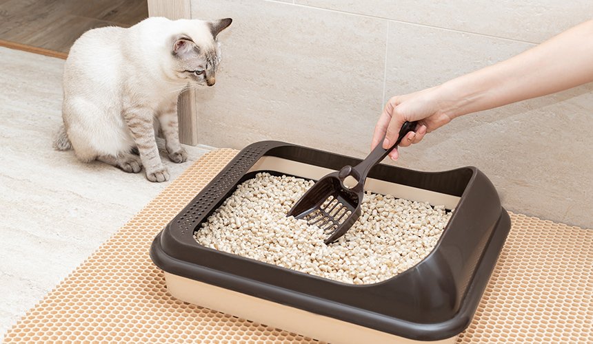 ENVIROBIOTICS indoor odors